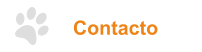 Contacto