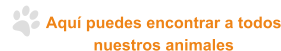 Aquí puedes encontrar a todos nuestros animales