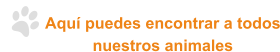 Aquí puedes encontrar a todos nuestros animales
