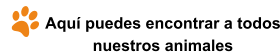 Aquí puedes encontrar a todos nuestros animales